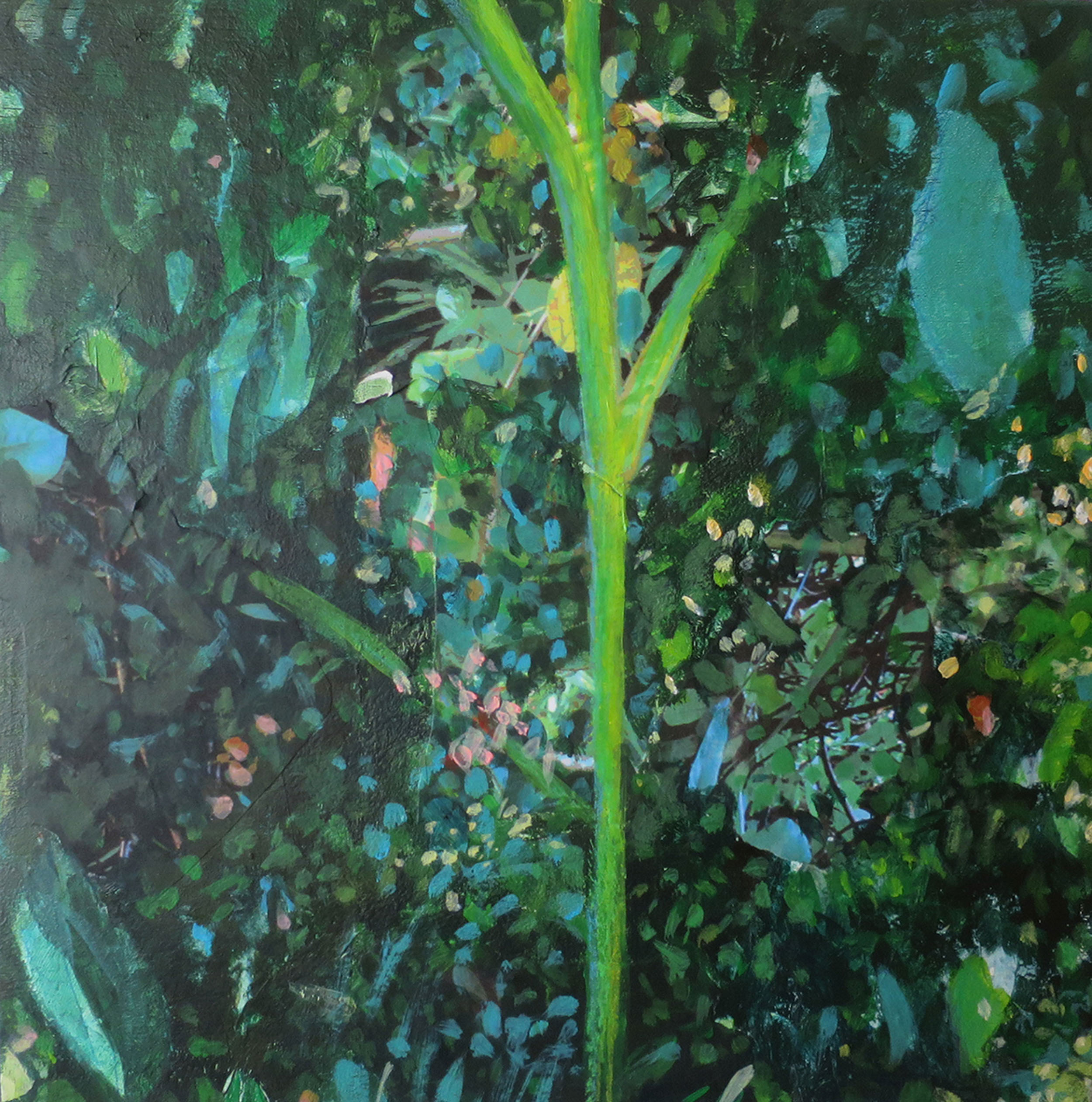 Colours_of_the_Forest-25x25-acrilyc_on_wood